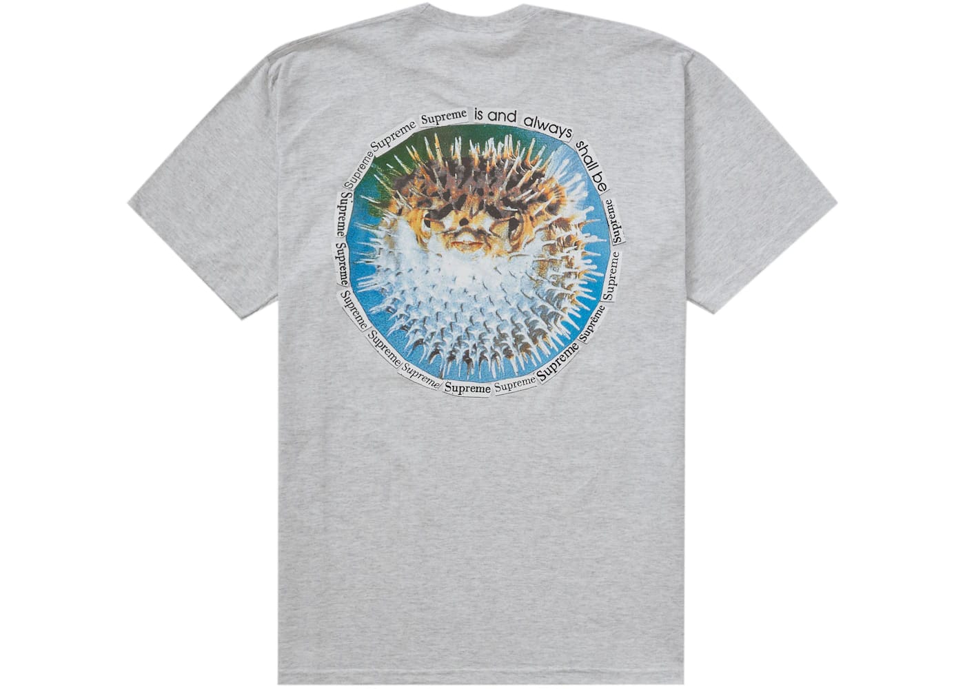 Supreme Blowfish Tee Ash Grey – SOLEPLIER