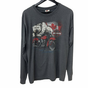 Vintage Harley Davidson Crownest Trail L/S Tee
