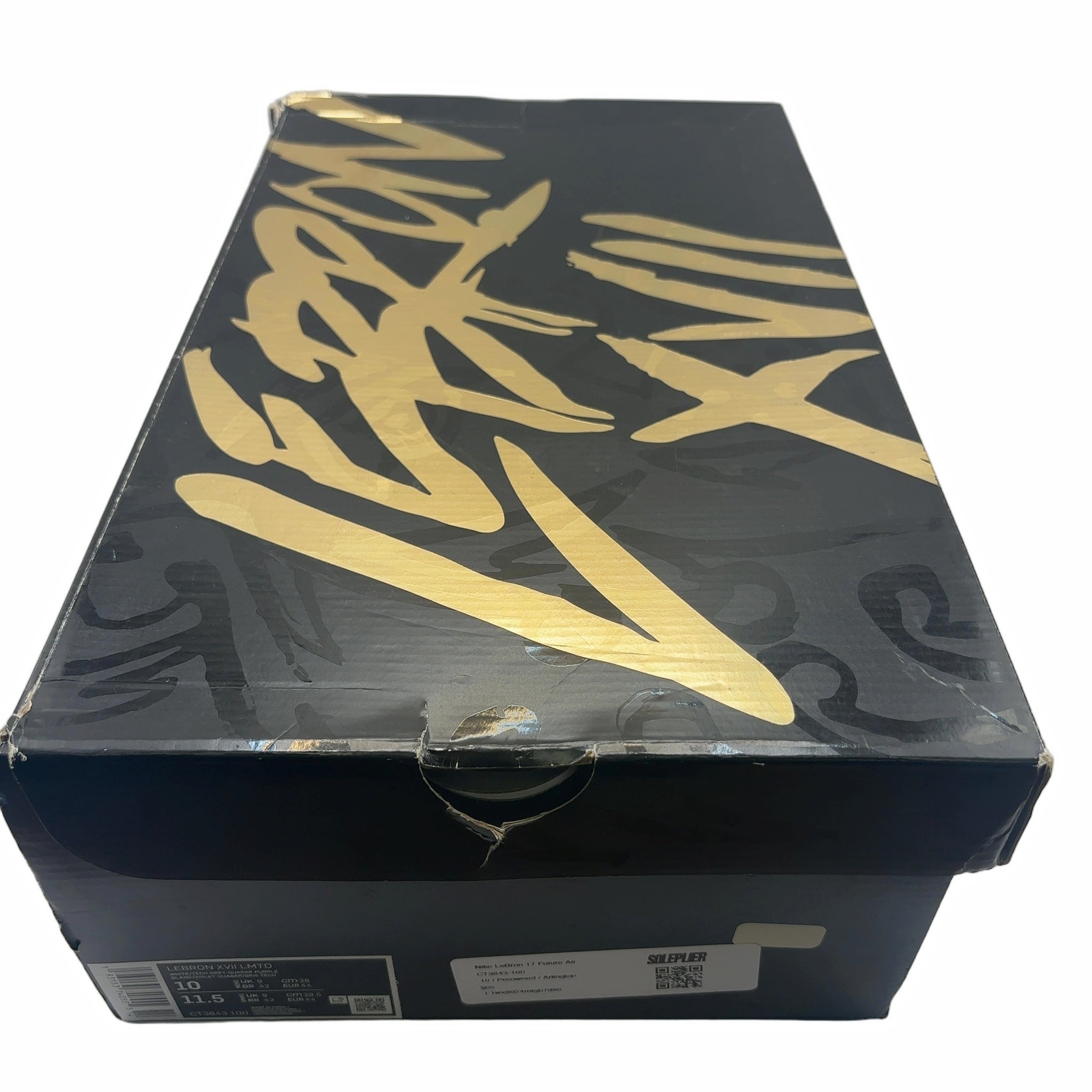 Nike LeBron 17 Future Air