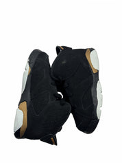 Jordan 6 Retro DMP (TD)