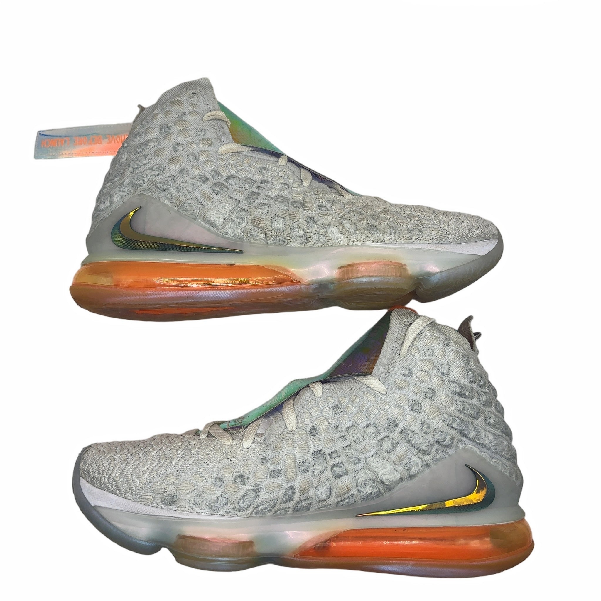 Nike LeBron 17 Future Air