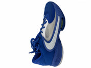 Nike Zoom Freak 4 TB Promo Game Royal White
