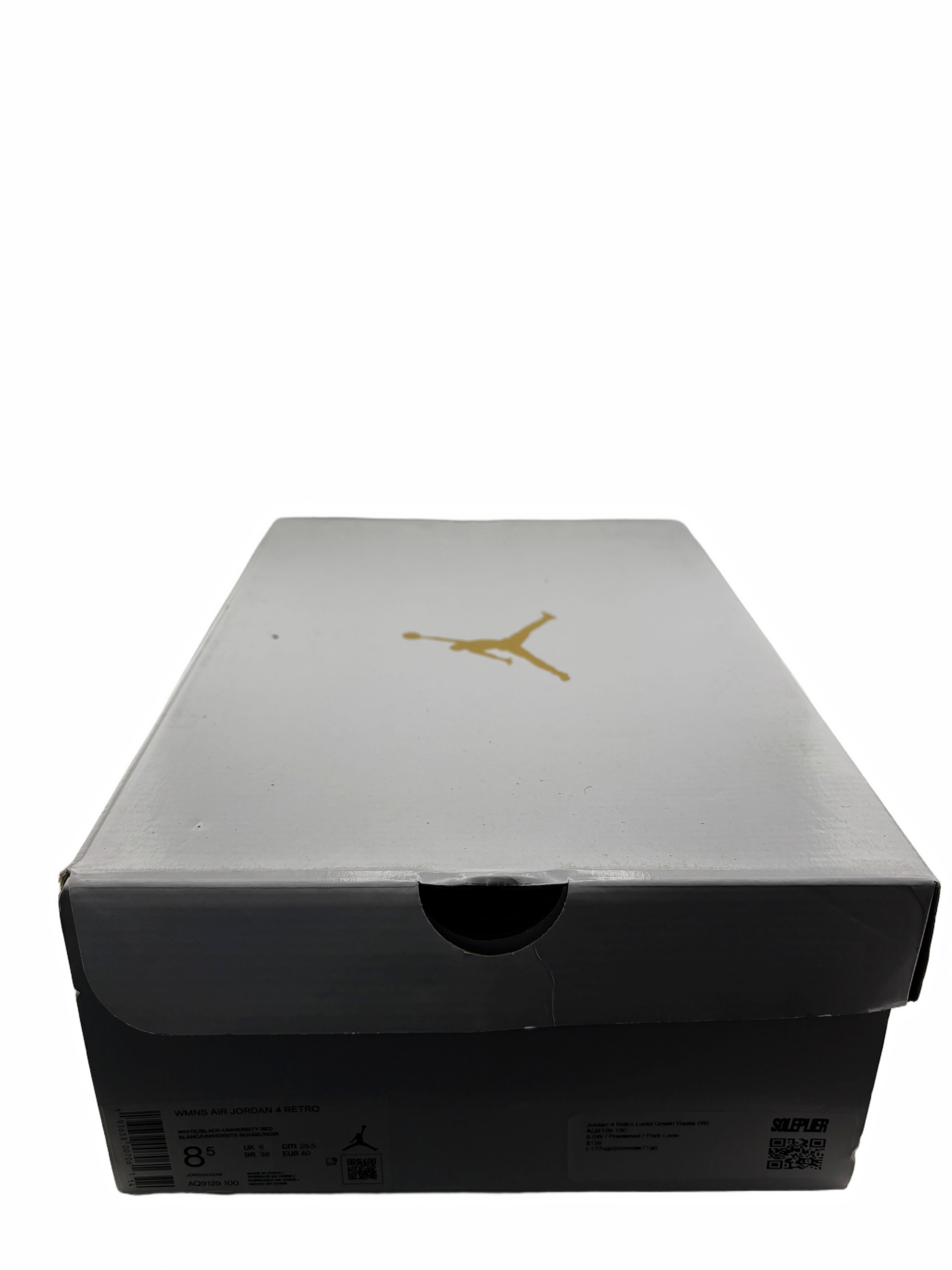 Jordan 4 Retro Lucid Green Rasta (Women's)
