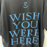 Vintage 1992 Pink Floyd Wish You Were Here Tour Tee