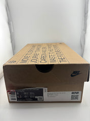 Nike Dunk Low Next Nature Pale Coral (W)