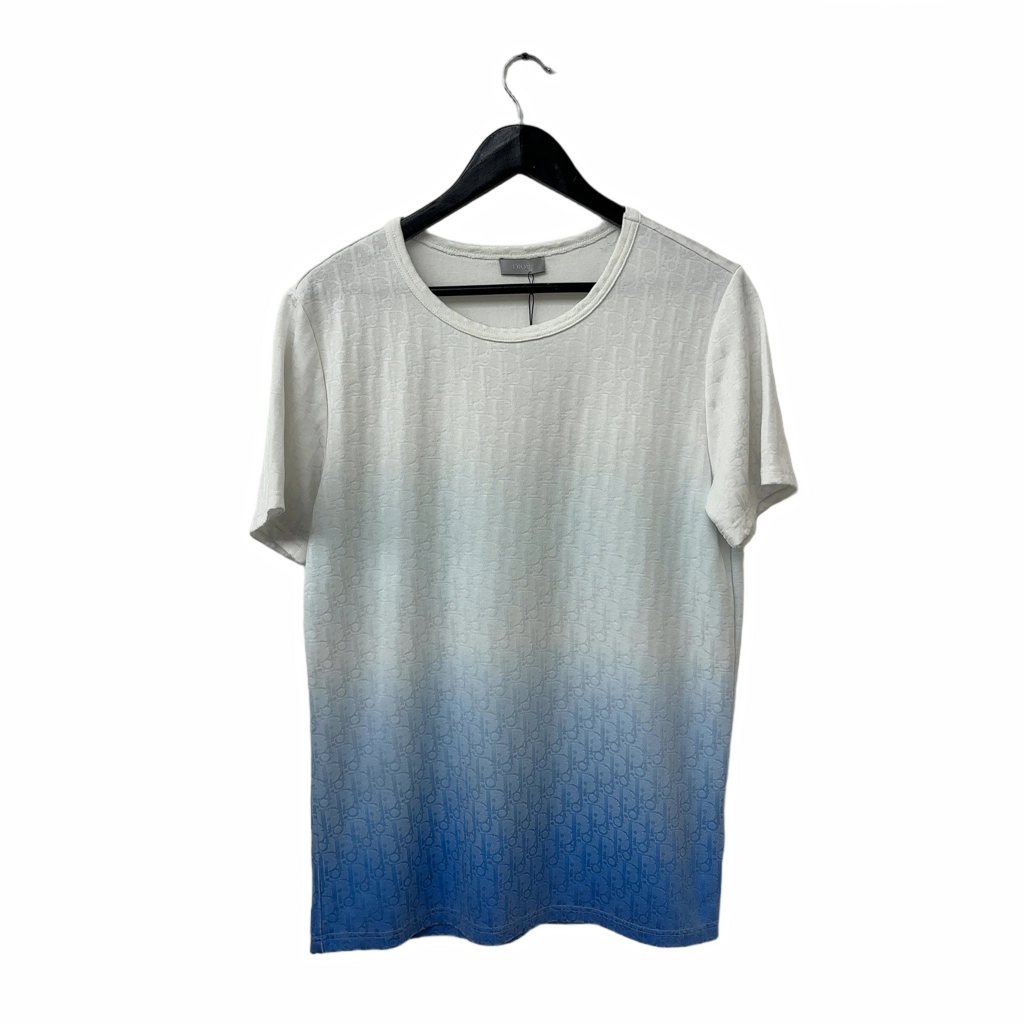 Dior Oblique Gradient Tee Blue/White