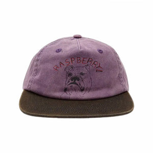 GV Gallery Bulldog Hat Purple