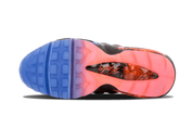 Nike Air Max 95 Doernbecher (GS)