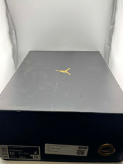 Jordan 11 Retro DMP Gratitude (2023)