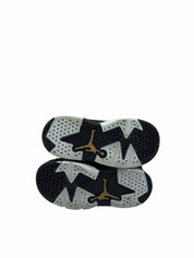 Jordan 6 Retro DMP (TD)