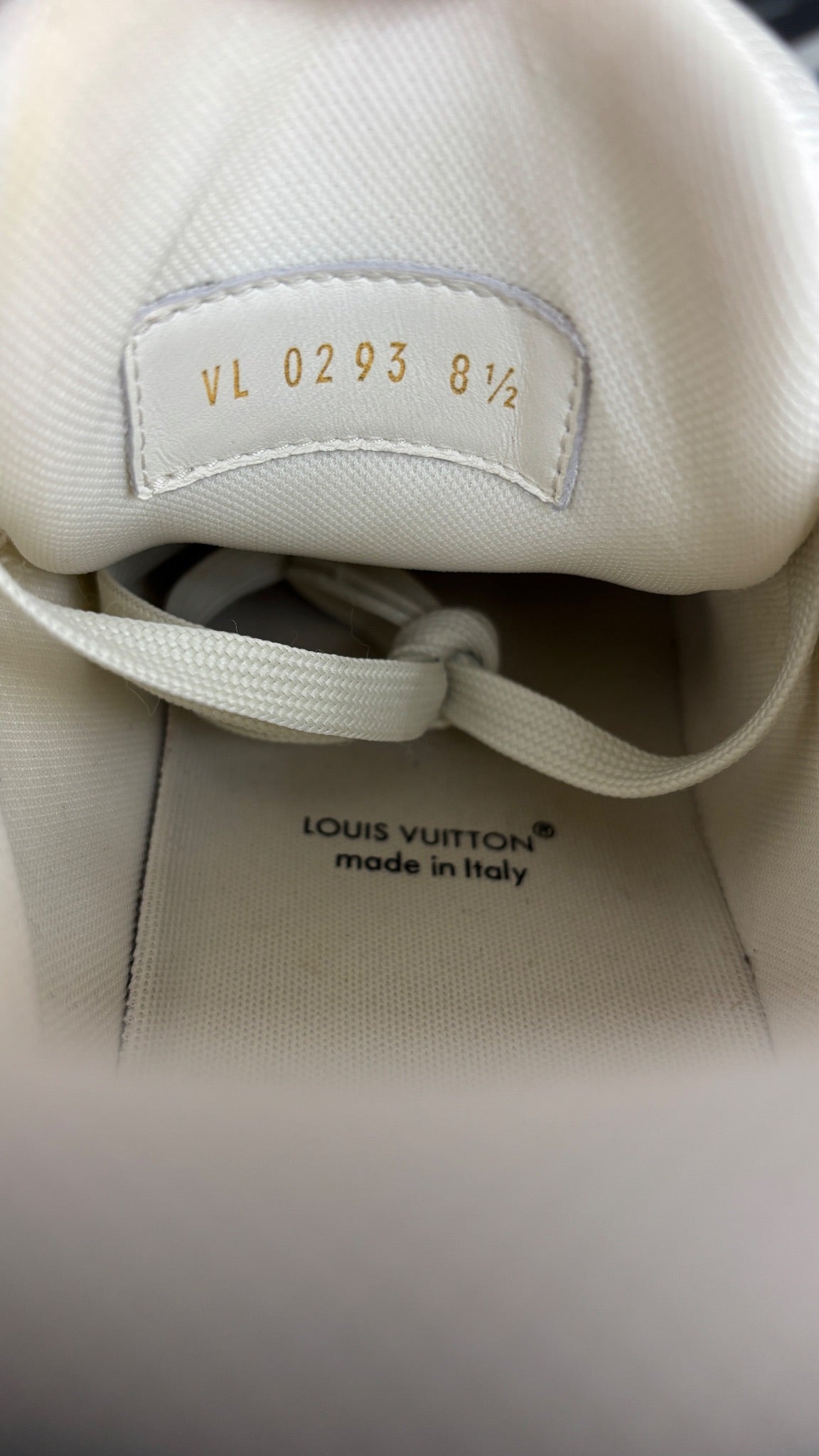Louis Vuitton LV Trainer Blue Purple