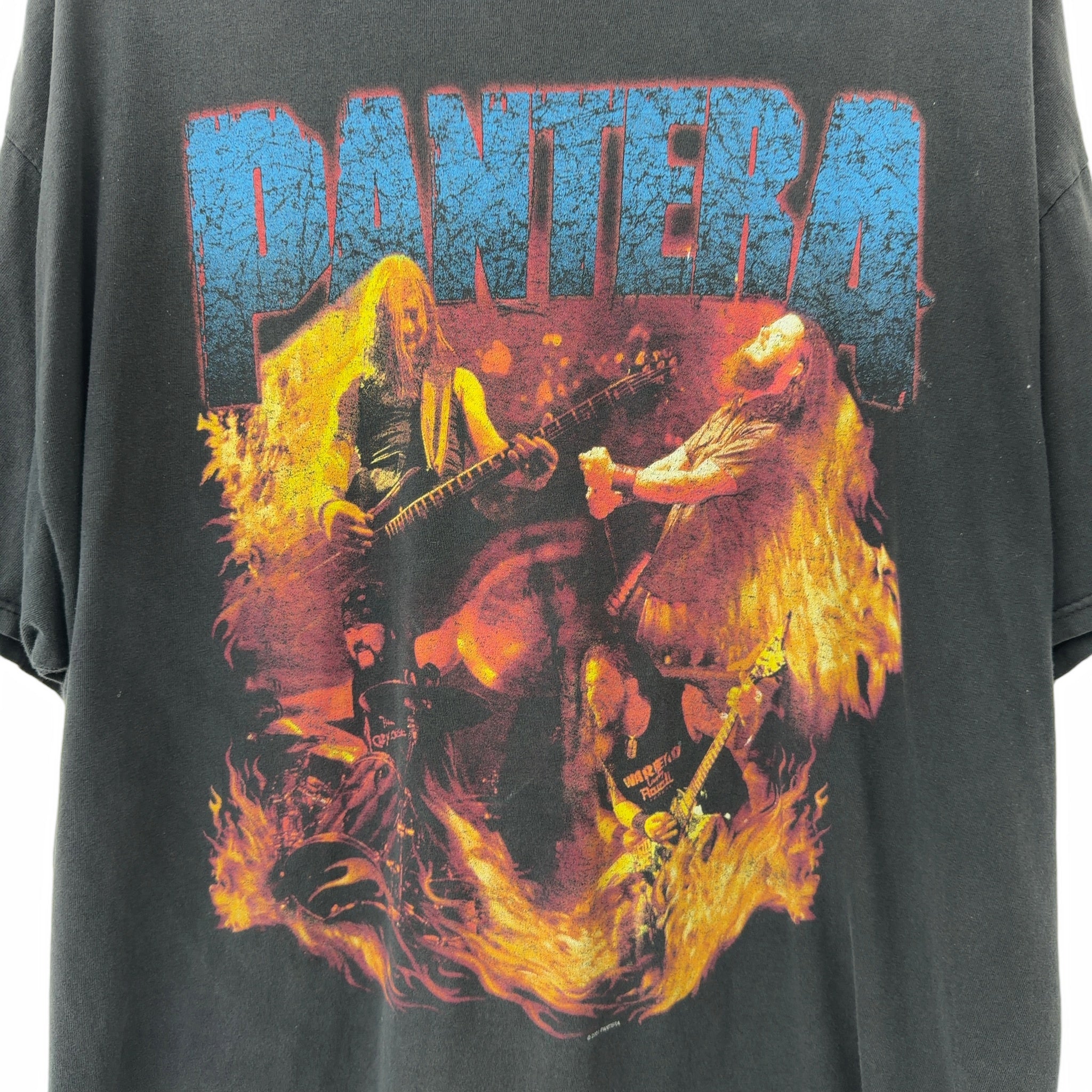 Vintage 2001 Pantera Reinventing the Steel Tee