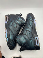 Jordan 6 Retro All-Star Chameleon (2017)