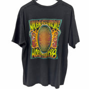 Vintage 1998 Page and Plant Walking Into Clarksdale Tee