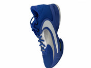 Nike Zoom Freak 4 TB Promo Game Royal White