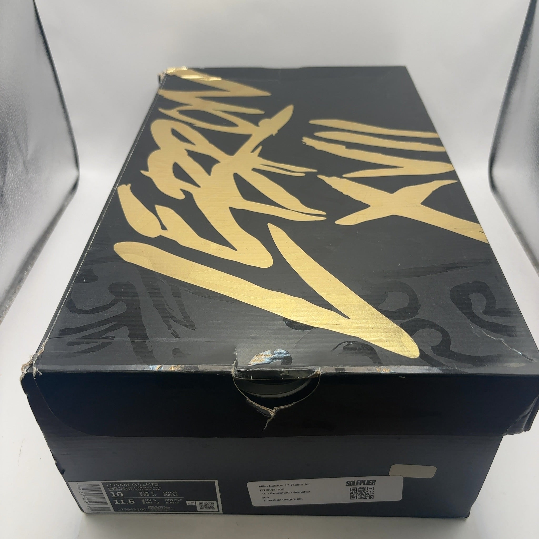 Nike LeBron 17 Future Air
