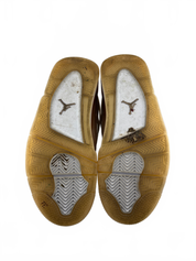 Jordan 4 Retro Shimmer (W)