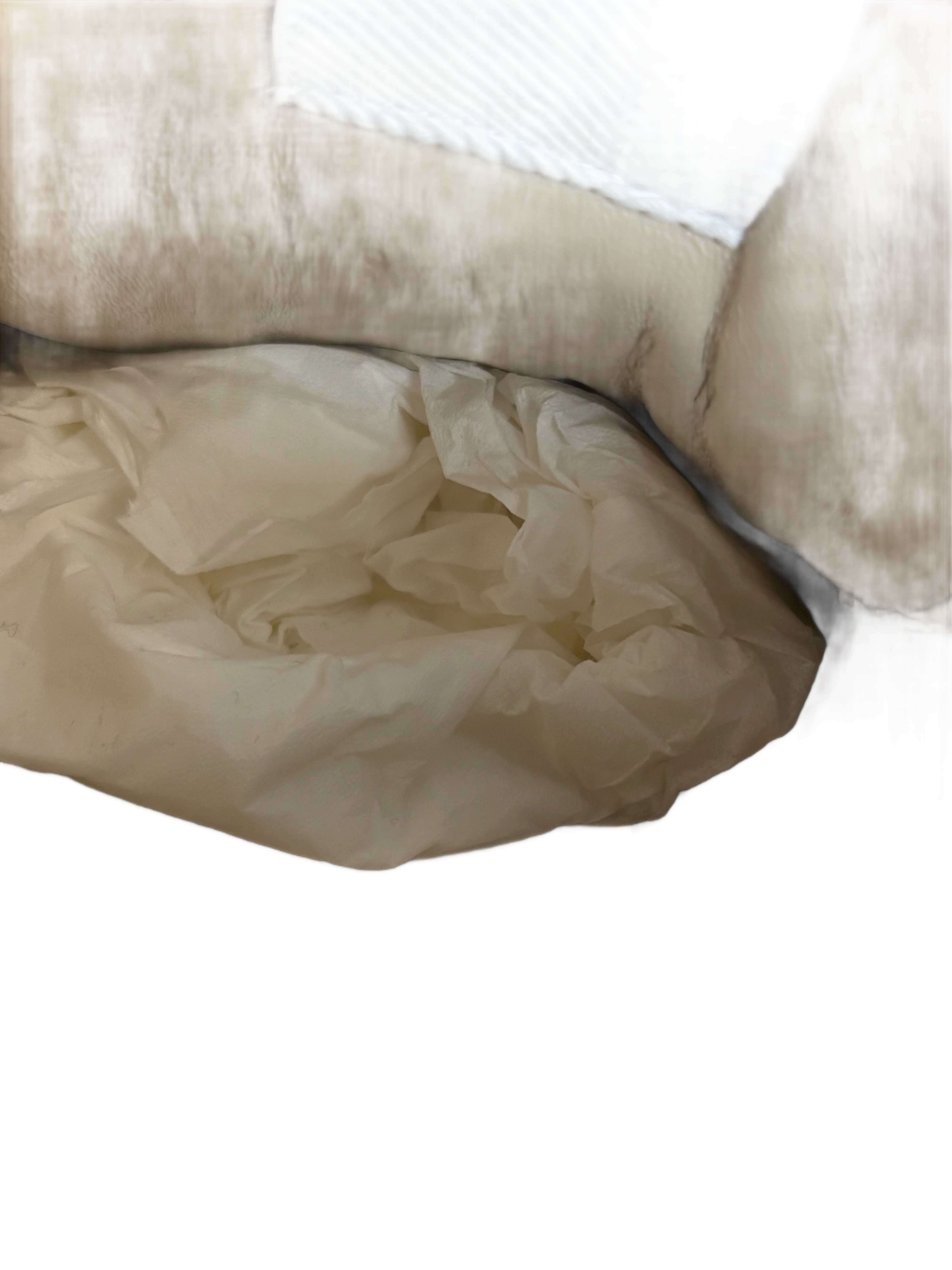 Gucci Ryton Gucci Web Ivory