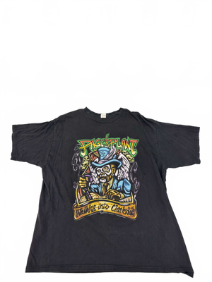 Vintage 1998 Page and Plant Walking Into Clarksdale Tee