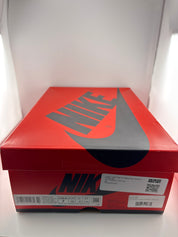 Jordan 1 Retro High OG Washed Pink (Women's)