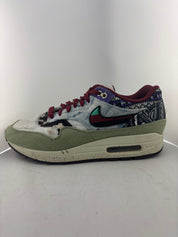 Nike Air Max 1 SP Concepts Mellow