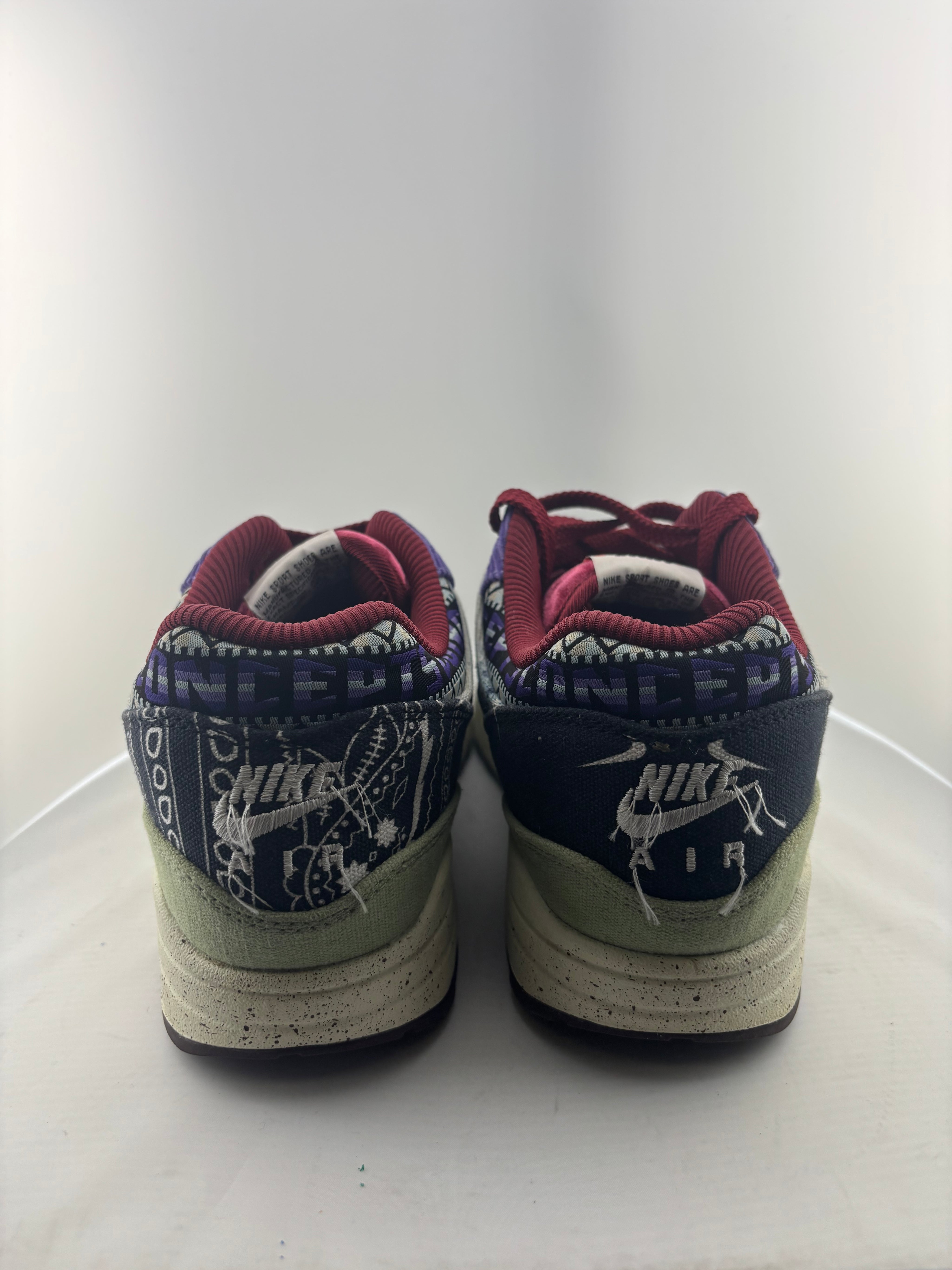 Nike Air Max 1 SP Concepts Mellow