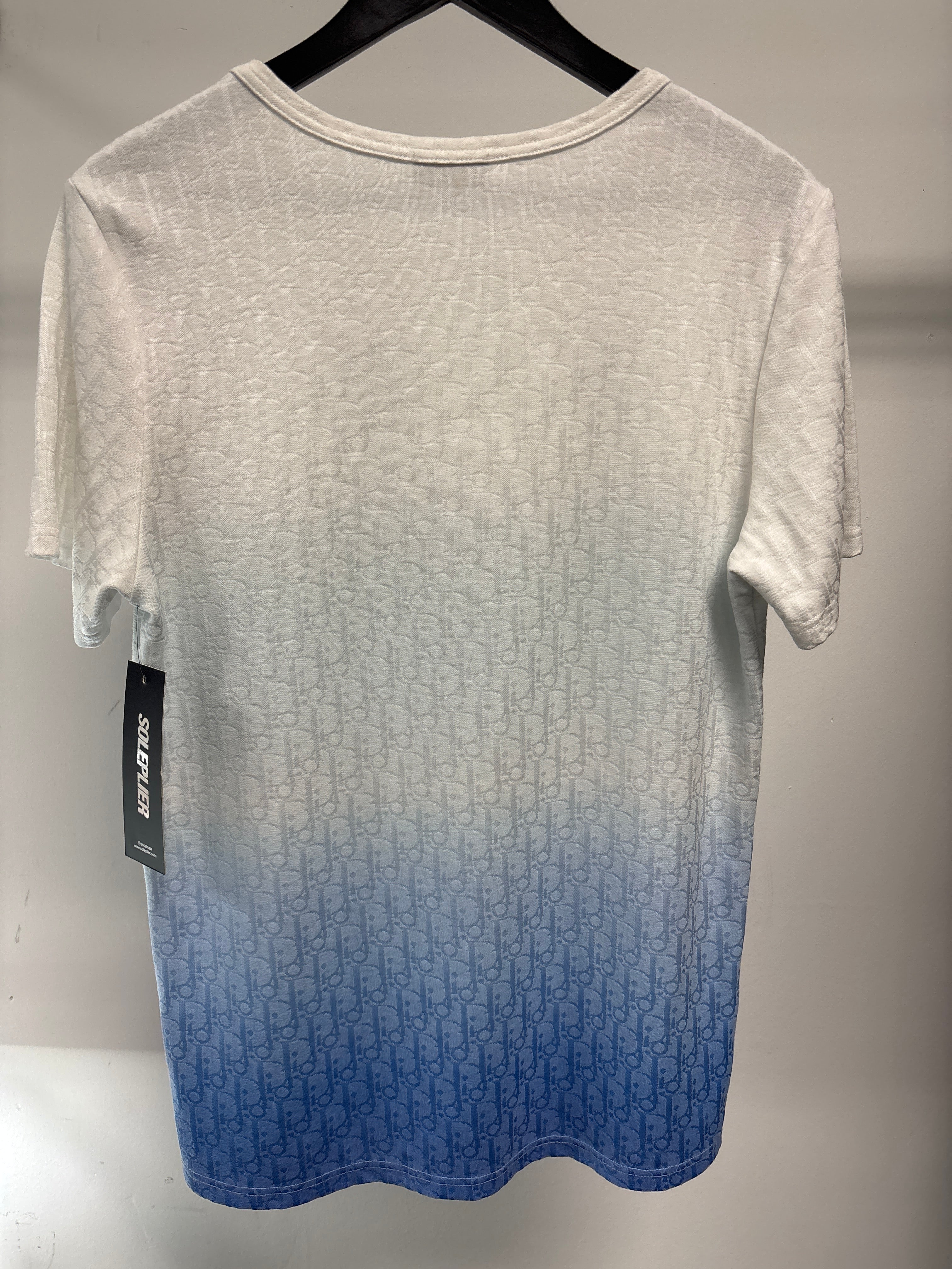 Dior Oblique Gradient Tee Blue/White