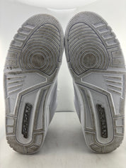 Jordan 3 Retro Pure Money (2025)
