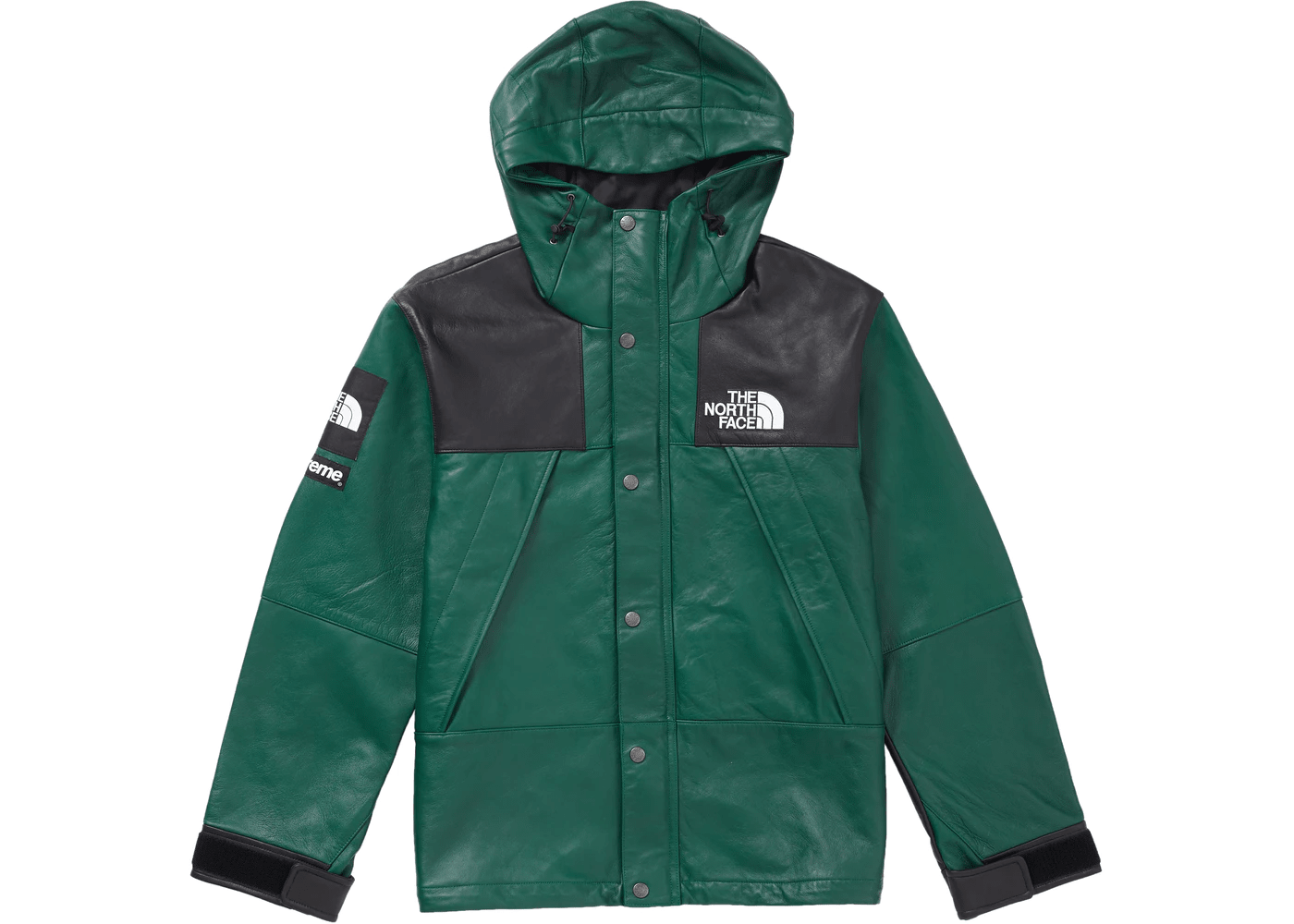 Supreme The North Face Leather Mountain Parka Dark Green